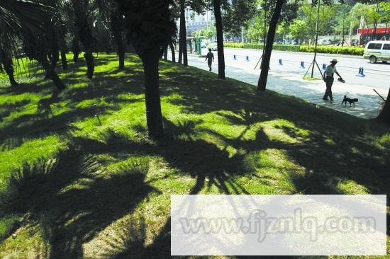 �������������ɫ��� ��ũ��ǿ������ɫ�������